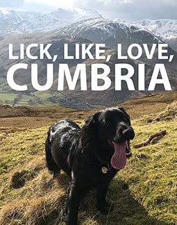 Lick Like Love Cumbria